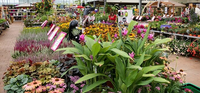 Jardinerie